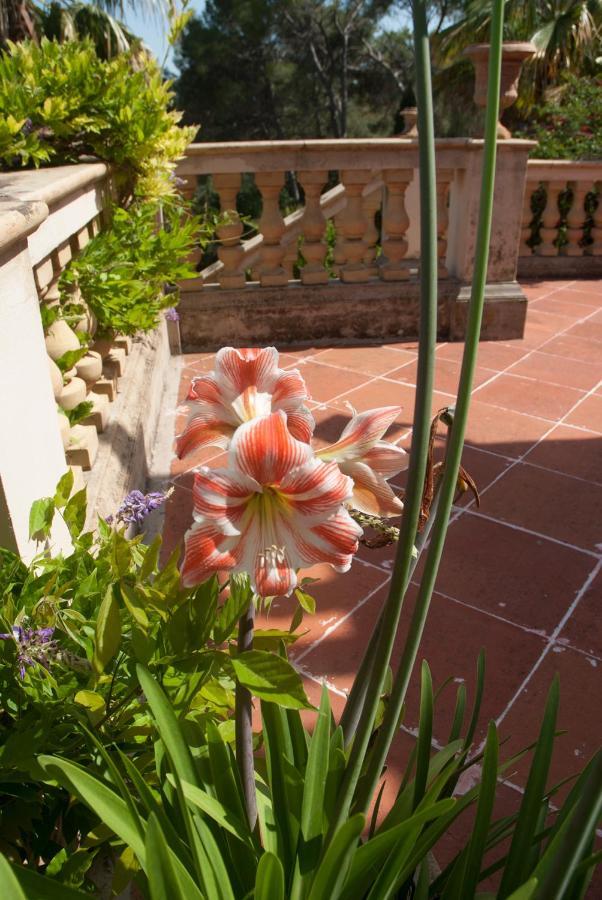 Casa De Las Vistas Palma de Mallorca Exterior photo