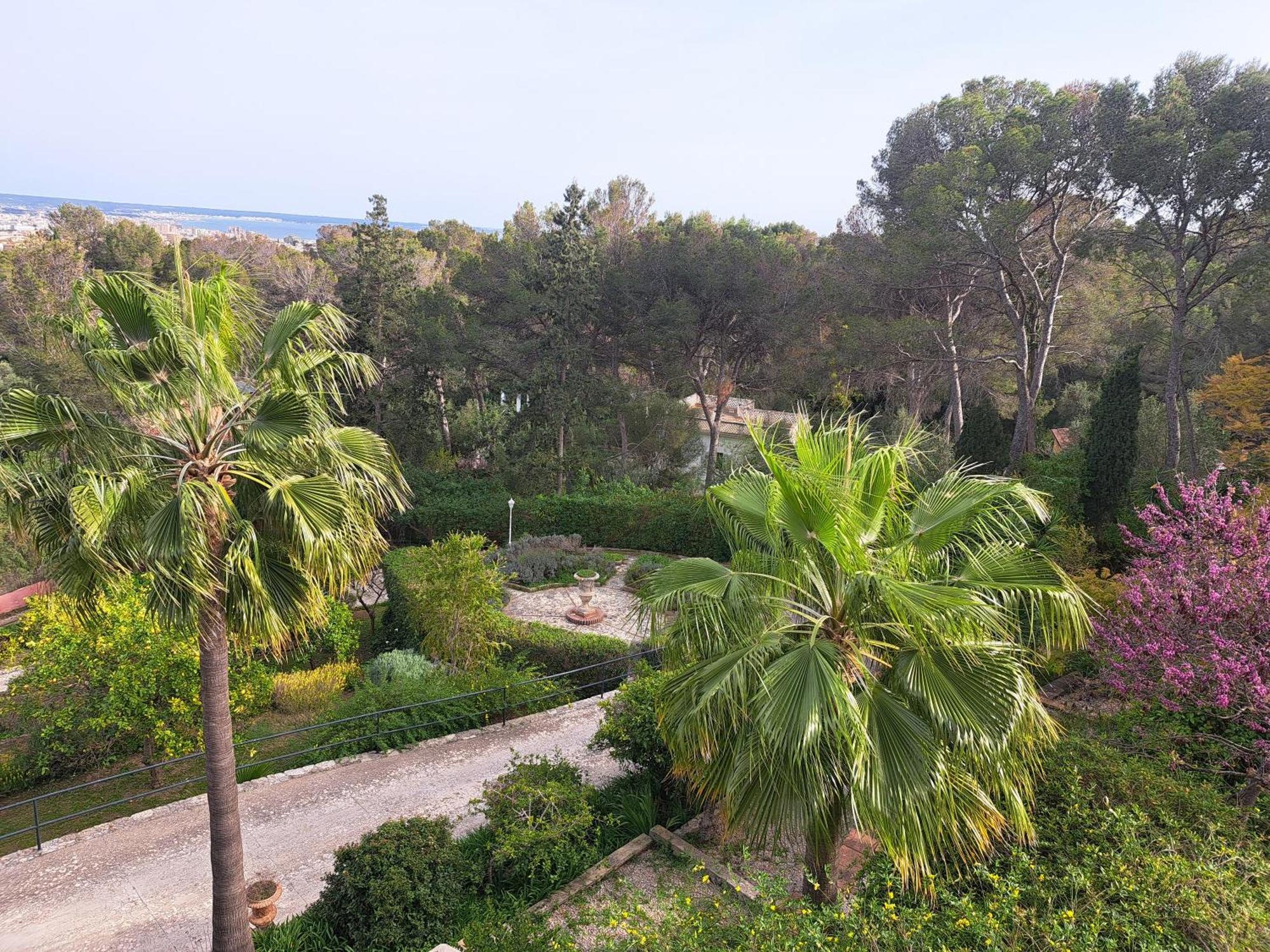 Casa De Las Vistas Palma de Mallorca Exterior photo